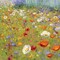 Champ de Fleur II Poster Print by Shirley Novak - Item # VARPDX22128